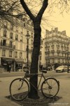 Travel-Photography-France-Paris-in-black-and-white-sepia-Gallery-Pictures-138.jpg