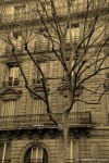 Travel-Photography-France-Paris-in-black-and-white-sepia-Gallery-Pictures-178.jpg