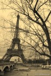 Filename=Travel-Photography-France-Paris-in-black-and-white-sepia-Gallery-Pictures-11.jpg
Filesize=196KB
Dimensions=536x800
Date added=May 08, 2008 Travel-Photography-France-Paris-in-black-and-white-sepia-Gallery-Pictures-11.jpg