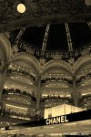Filename=Travel-Photography-France-Paris-in-black-and-white-sepia-Gallery-Pictures-112.jpg
Filesize=125KB
Dimensions=536x800
Date added=May 25, 2008 Travel-Photography-France-Paris-in-black-and-white-sepia-Gallery-Pictures-112.jpg