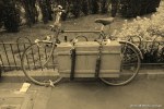 Filename=Travel-Photography-France-Paris-in-black-and-white-sepia-Gallery-Pictures-117.jpg
Filesize=148KB
Dimensions=800x536
Date added=May 25, 2008 Travel-Photography-France-Paris-in-black-and-white-sepia-Gallery-Pictures-117.jpg