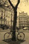 Filename=Travel-Photography-France-Paris-in-black-and-white-sepia-Gallery-Pictures-138.jpg
Filesize=163KB
Dimensions=536x800
Date added=May 26, 2008 Travel-Photography-France-Paris-in-black-and-white-sepia-Gallery-Pictures-138.jpg