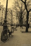 Filename=Travel-Photography-France-Paris-in-black-and-white-sepia-Gallery-Pictures-140.jpg
Filesize=168KB
Dimensions=536x800
Date added=May 26, 2008 Travel-Photography-France-Paris-in-black-and-white-sepia-Gallery-Pictures-140.jpg