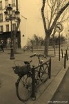 Filename=Travel-Photography-France-Paris-in-black-and-white-sepia-Gallery-Pictures-141.jpg
Filesize=128KB
Dimensions=536x800
Date added=May 26, 2008 Travel-Photography-France-Paris-in-black-and-white-sepia-Gallery-Pictures-141.jpg