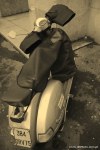Filename=Travel-Photography-France-Paris-in-black-and-white-sepia-Gallery-Pictures-143.jpg
Filesize=104KB
Dimensions=536x800
Date added=May 26, 2008 Travel-Photography-France-Paris-in-black-and-white-sepia-Gallery-Pictures-143.jpg