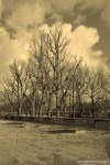 Travel-Photography-France-Paris-in-black-and-white-sepia-Gallery-Pictures-61.jpg
