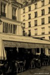 Filename=Travel-Photography-France-Paris-in-black-and-white-sepia-Gallery-Pictures-77.jpg
Filesize=121KB
Dimensions=536x800
Date added=May 13, 2008 Travel-Photography-France-Paris-in-black-and-white-sepia-Gallery-Pictures-77.jpg