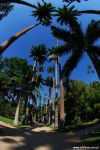 19a_JARD_2007_04_25_Rio_JardimBotanico_small_032_color.jpg