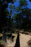 21_JARD_2007_04_25_Rio_JardimBotanico_small_018_color.jpg