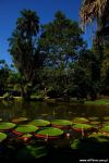 27_JARD_2007_05_02_Rio_Orchids_small_003_color.jpg