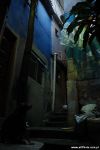 FAV_23_2007_04_30_Rio_Favelas_small_052_color.jpg