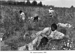 Filename=H_C_Bresson-042.jpg
Filesize=209KB
Dimensions=800x576
Date added=Jun 13, 2014 H_C_Bresson-042.jpg