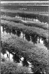 Filename=H_C_Bresson-063.jpg
Filesize=185KB
Dimensions=532x800
Date added=Jun 13, 2014 H_C_Bresson-063.jpg