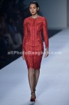 EFW-Oct_Tipaya-16.jpg