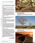 Filename=Kenia3_br.jpg
Filesize=187KB
Dimensions=652x799
Date added=Jul 25, 2009 Kenia3_br.jpg